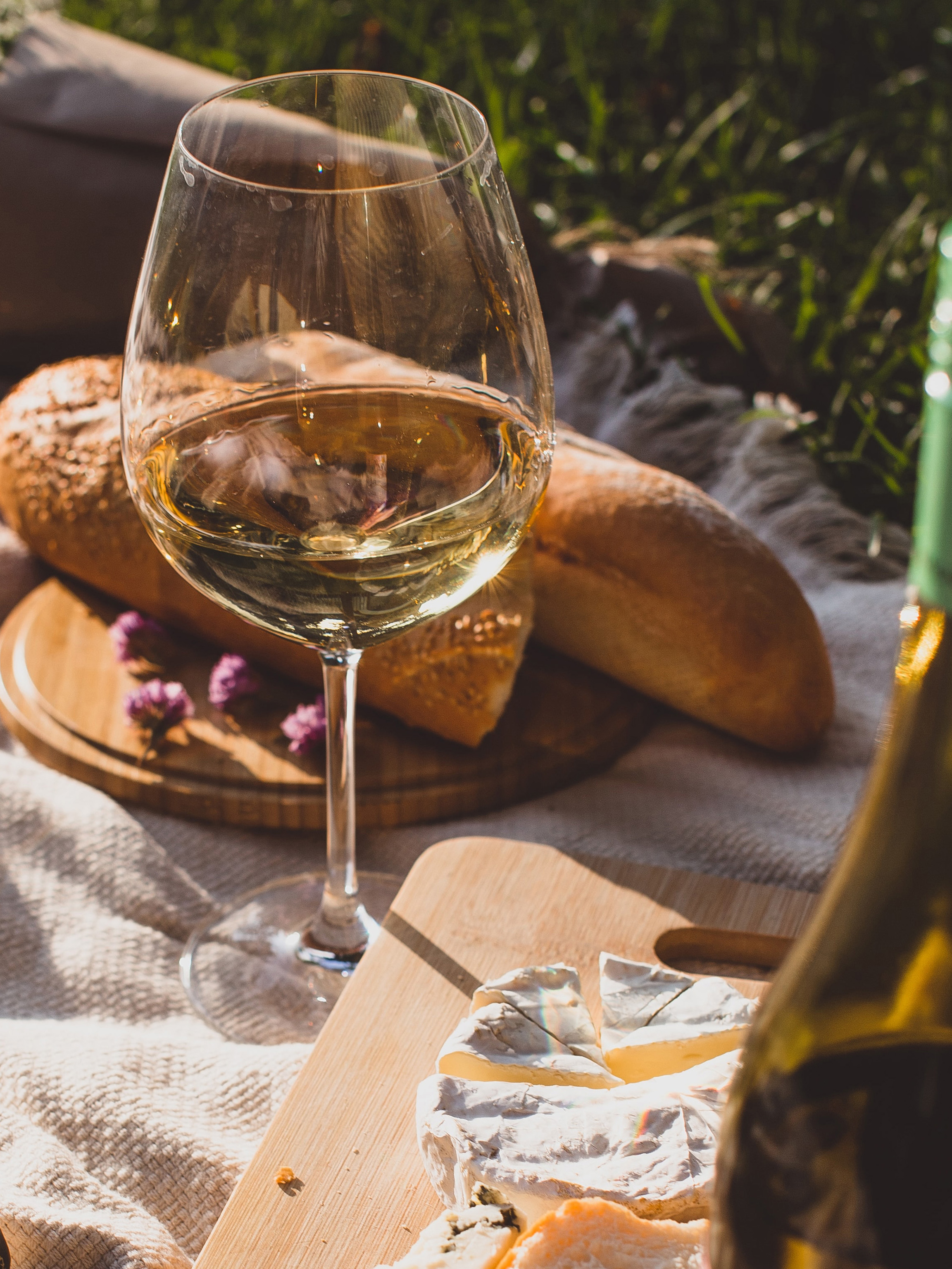 Calice di vino su coperta da picnic, pane e formaggio